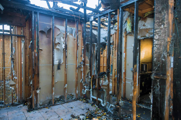 Professional Fire Damage Removal technician working in Arlington, TX