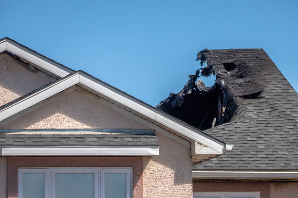 Top rated local Fire Damage Removal specialists in Arlington, TX